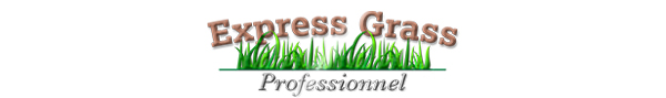 express_grass-2